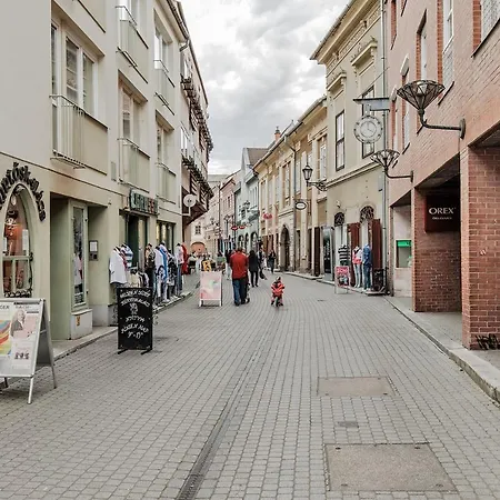 Arany Csillag Έγκερ